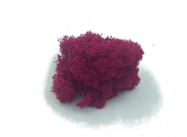 Purified Reindeer Moss Fuchsia 2 kg FINNISH